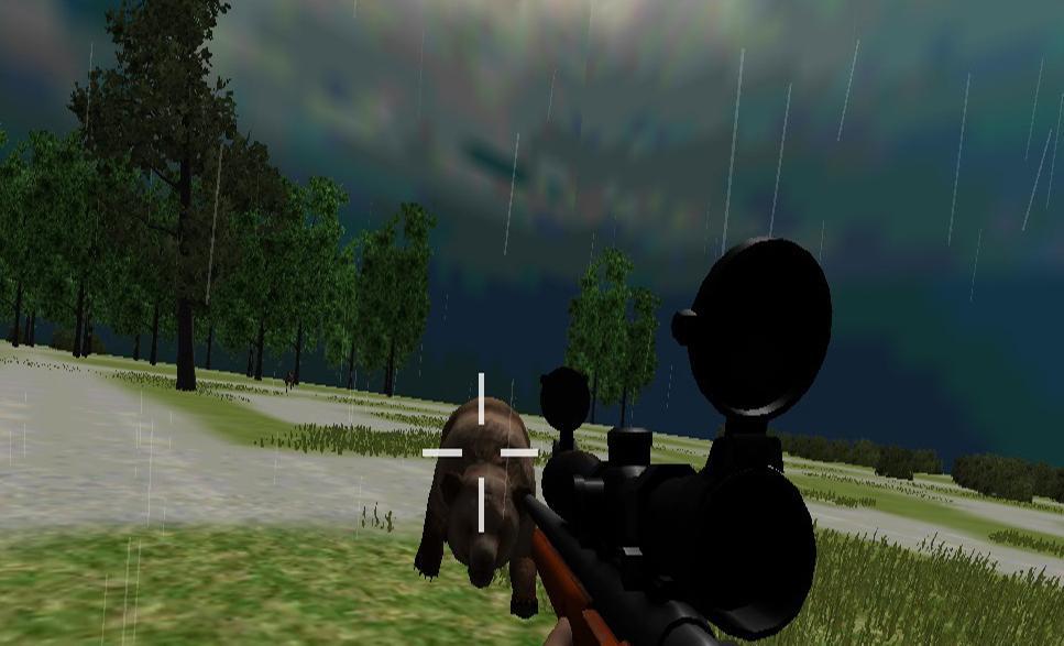 Jungle Animal Hunting