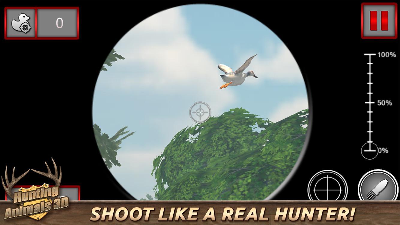 Hunting Animals 3D