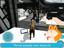 Doge Simulator FREE