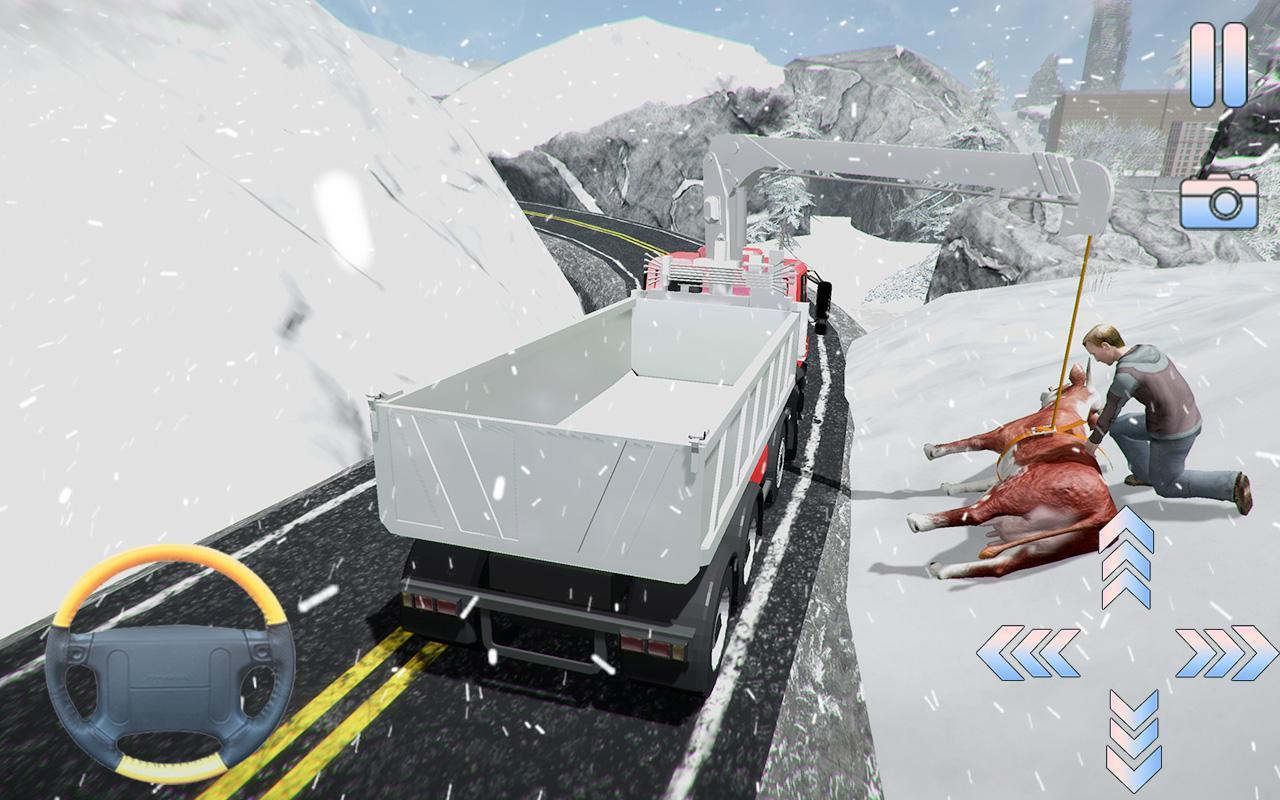 Animal Transport Hill Rescue