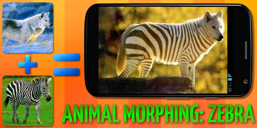 Animal Morphing: Zebra Hybrid