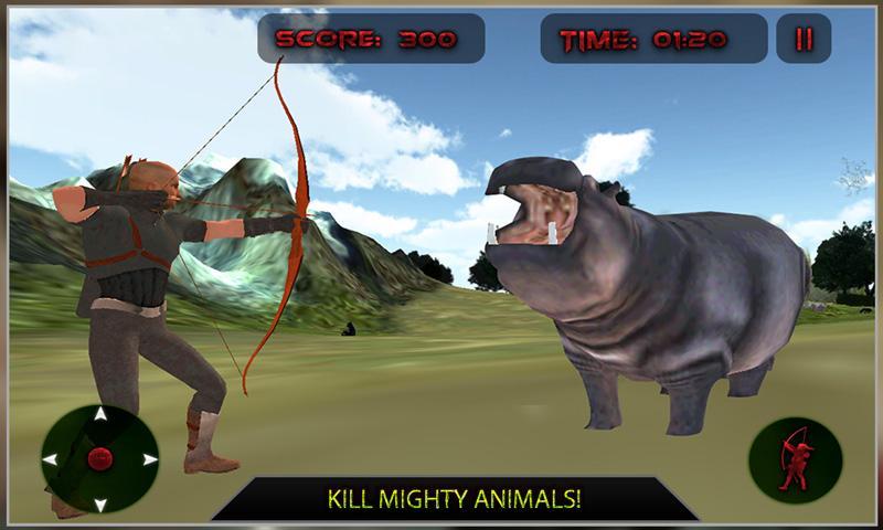 Bow Arrow Wild Animal Hunting